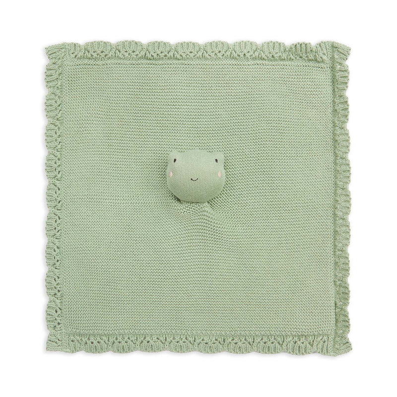 Cuddle Cloth - Frog