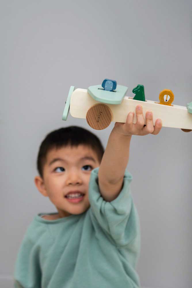 Wooden animal airplane